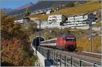 Die Re 460 114-2 hat mit ihrem IR nach Brig den Dala Tunnel verlassen und überquert nun die Rhonebrücke, um in Susten den Bahnhof Leuk zu erreichen.
Der Abschnitt Salgesch Leuk wurde als letzter der Simplonstrecke auf Doppelspur ausgebaut, was einem Neubau der Strecke, nun durch zwei Tunnels, gleich kam. 
26. Okt. 2015