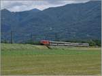 Eine SBB Re 460 hat mit ihrem Gotthard IR kurz vor Riazzino das letzte Mal den Ticino überbrückt und wird in gut zehn Minuten sein Zeil Locarno erreicht haben.