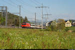 SBB Re 460 mit IC 61 Interlaken Ost - Basel SBB am 22.