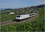 Die SBB Re 460 113-4  100 Jahre SEV  mit dem IR 15 2513 von Genève-Aéroport nach Luzern bei Bossière in den Weinbergen des Lavaux. 

14. Juli 2020