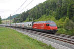 Re 460 065-6 fährt Richtung Bahnhof Tecknau. Die Aufnahme stammt vom 28.08.2022.