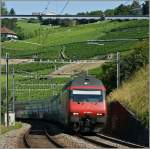 Re 460 089-6 mit IC unterwegs nach St.Gallen bei Grandvaux.