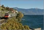 Die  Mobilsbonus  Re 460 031-8 mit dem IR 1726 konnte ich bei St-Sahorin fotografieren.
28. Oktober 2013 