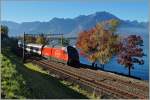 Die SBB Re 460 043-3 mit dem IR 1718 von Brig nach Genève Aéroport  kurz nach Villeneuve. 
1. Nov. 2014