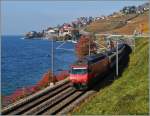 Bunter Herbst am Lac Léman: Re 460 037-5 mit dem IR 1811 kurz vor St-Saphorin.