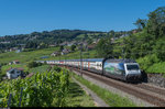 Thales Re 460 005 zieht am 16. Juli 2016 einen IC Genève Aéroport - St. Gallen bei Bossière durch das Lavaux.
