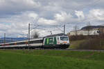 Re 460 001-1 mit der Werbung für 25 Jahre Naturaplan von COOP fährt Richtung Bahnhof Sissach.
