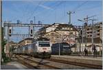 Die eine kommt, die andere geht: die BLS Re 465 004  Kambly  erreicht mit ihrem RE 3915 von La Chaux-de-Fonds - Bern den Bahnhof von Neuchâtel, während die BLS Re 465 007 mit dem Gegenzug Neuchâtel in Richtung La Chaux-de-Fonds verlässt. 

13. Aug. 2019