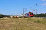 Am 20.06.2018 ist 482 042 mit einem langen KLV bei Waghäusel in Richtung Basel unterwegs.