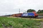 482 043-7 der SBB Cargo unterwegs mit Container in Richung Hamburg. Höhe Bardowick, 19.06.2018.