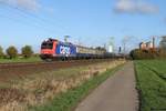 482 019 mit einem Sonderzug von Berlin Lichtenberg nach Köln am 27.10.18 bei Weetzen.