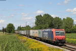 Re 482 021-3 mit dem DGS 40077 (Genk Zuid-Novara Boschetto) bei Riegel 14.8.19