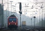 Eine Schweizer 482 004-9 von SBB Cargo rangiert in Aachen-West bei der Abendstimmung und bei Nebel am 22.5.2012.