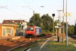 482 015-5 von SBB-Cargo kommt mit einem langen Containerleerzug aus Italien nach Kln-Eifeltor aus Richtung Koblenz und fhrt in Richtung Kln.