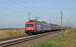 482 043 bespannte am 04.10.13 den Mller-Sonderzug(Suferzug) von Kln nach Halle(S). Kurz vor dem Ziel durchfhrt der Partysonderzug Braschwitz.