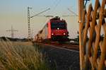 SBB CARGO 482 008-0 kommt bei Wickrathhahn mit einem Mischer gen Aachen West gefahren. 1.7.2015