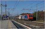 Der etwas andere, neue Weg ins Tessin. Nächste Station: Gallarte. Hier trifft die Strrecke von Luino auf die Simplon Linie und hier führt auch eine Strecke nan den Lago  Lugano , nach Porto Ceresio.
Die SBB Re 484 013 erreicht mit einem Güterzug Gallarate.
16. Jan. 2018