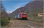 Pünktlich wie die Eisenbahn kommt die SBB Re 484 019 mit UKV-Zug nach Novara kurz nach Premosello-Chiovenda bei meiner Fotostelle vorbei.