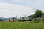 Doppeltraktion, mit den BLS Loks 485 015-2 und 485 013-7, fahren Richtung Bahnhof Sissach. Die Aufnahme stammt vom 03.07.2018.