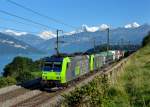 Re 485 002 und eine weitere Re 485 mit einer Rola nach Freiburg (Breisgau) am 01.09.2010 unterwegs bei Einigen.