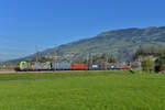 Re 486 502 mit einem Containerzug am 08.04.2017 bei Steinen. 