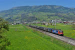 Re 620 088 mit einem Stahlzug am 08.04.2017 bei Steinen.