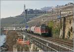 An Genfer See/Lac Léman entlang, zwischen Rivaz und St-Saphorin zieht die SBB Re 6/6 11689 (Re 620 016-6)  Illnau-Effretikon  einen Kesselwagenzug in Richtung Villeneuve. 

6. Februar 2018



