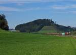 SBB: Holzzug im Luzerner-Hinterland auf der Fahrt nach Menznau mit der Re 6/6 11644  CORNAUX  am 29.