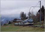 Kurz nach Les Avants ist die MOB Ge 4/4 8004 mit dem MOB/BLS GoldenPass Express GPX 4064 von Interlaken Ost nach Montreux unterwegs. 

6. Jan. 2024