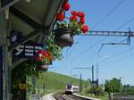 Blumen, welche die (Foto)-Bahnwelt seit geraumer Zeit kennt, trotzdem wagte ich noch eine weitere  Interpretation , diesmal in die Gegenrichtung und mit  Wechselstrom.