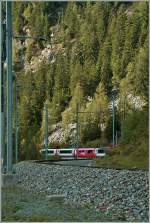 Der Glacier-Express kommt...
oberhalb von St. Niklaus, am 3. Okt. 2013