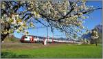 IC561 nach Chur im blhenden Landquart. (25.04.2013)