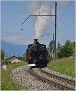 Die BFD HG 3/4 Nr. 3 mit dem Riviera Belle Epoque auf der Fahrt nach Chaulin beim Château d'Hauteville.
(20.05.2018)