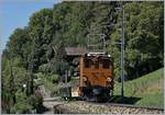 50 Jahre Blonay Chamby - MEGA BERNINA FESTIVAL: Zwischen Chernex und Sonzier fährt die B-C Bernina Bahn Ge 4/4 81 mit dem Riviera Belle Epoque Zug Richtung Chaulin.

8. Sept. 2018