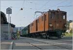 Die Bernina Bahn RhB Ge 4/4 81 der Blonay-Chamby Bahn ist mit dem Riviera Belle Epoque von Vevey nach Blonay zurückgekehrt. Ab Blonay fährt der Zug als Leermaterialzug nach Chaulin.

29. Mai 2023