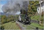  La DER de la Saison  - Die kleine Dampflok raucht wie eine grosse; was den Fotografen freut freut nicht unbedingt die Anwohner... Die G 3/3 N° 5 ist bei Chaulin auf dem Weg nach Chamby.

28. Oktober 2023