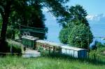 BC Museumsbahn Paradezug 51033 von Blonay nach Chamby am 24.05.1999 bei Cornaux mit Gepckriebwagen exCGTE Fe 4/4 151 - exCGTE C4 370 - exAL K 87. Hinweis: Rckansicht
