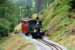 Ein wunderschner Streckenabschnitt im Rhonetal. DFB Nr.6  Weisshorn  schlngelt sich mit ihrem Zug nach Gletsch; 14.08.2010