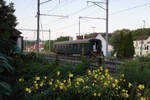 Verein Depot und Schienenfahrzeuge Koblenz (DSF)
TRIEBWAGEN TREFFEN KOBLENZ 1. AUGUST 2017.
Impressionen vom Depot bis zum Bahnhof.
Schon am frühen Morgen kam sich der A 50 85 18-33 524-7, ehemals SBB auf dem Abstellgeleise hinter dem DSF Depot etwas verlassen vor. Von den zahlreichen Fotografen wurde er kaum beachtet. Für mich weckte er alte Erinnerungen. Schon als Kind war ich immer gerne in diesen schönen grünen Wagen unterwegs.
Foto: Walter Ruetsch
