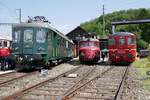 Gruppenbild am 1.8.17 vor dem Depot Koblenz  Mit dem RBe 4/4 ex SBB, Roten Pfeil der OeBB und dem Zürcher Museumsbahn BDe 4/4 ex SZU.