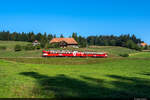 Am 10.09.2023 ist der VPM RBDe 566 I 222 unterwegs anlässlich des SlowUps auf der Emmentalbahn und konnte hier bei Gammenthal aufgenommen werden