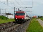 SBB - Regio Express unterwegs bei Bettenhausen/BE am 19.05.2012 