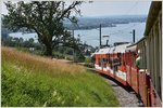 Am Rorschacherberg nähe Wartensee.