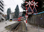 Appenzeller Bahnen.
SGA/AB: Gemeinsamer Abschied von der alten Appenzeller Bahn anlässlich des Mini Bahnbildtreffens vom 17. März 2018 mit Olli, Horst, Stefan, Peter und Walter.
In der Nähe der Haltestelle St. Gallen Riethüsli legte sich der AB Penzelzug gemeinsam mit einem Postauto in die Kurve. Wie gut doch die Zusammenarbeit  des ÖV auf Strasse und Schiene in der Schweiz funktoniert. Besondere Beachtung gilt auch dem bald historischen Zahnradstreckenabschnitt, den vielen Andreaskreuzen sowie einer geführten Gruppe von Besuchern der Baustellen.
Foto: Walter Ruetsch  
