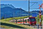 S22 St.Gallen nach Appenzell mit BDeh 4/4 13 und ABt 123 beim Sammelplatz mit Aussicht zum Säntis 2505m. (10.12.2016)