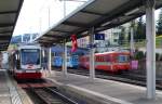 Smtliche Fahrzeugtypen der Trogenerbahn (Jetzt AB) im Bahnhof Speicher
am 23.11.09