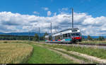 ASm-BTI GTW 5041 am 3. Juli 2017 zwischen Lüscherz und Siselen-Finsterhennen.