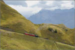 Aufwärts -

... geschoben durch eine kohlegefeurte Lok, werden die beiden roten Wägelchen der Brienz-Rothornbahn.

29.09.2013 (J)