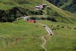 Unser BRB-Nachfolgezug muss vorsichtig an Kühen vorbeifahren. Darum heisst der Flurname hier wohl auch  Chüemad . Bergfahrt zum Brienzer Rothorn, 09. Aug. 2010, 12:00