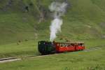 Die historische Dampflok H 2/3 6 schiebt ihren Zug am 20.8.10 von Planalp Richtung Brienzer Rothorn.